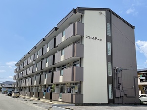 🌱アイビーバイン