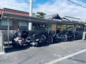 🌱ベリーバイン