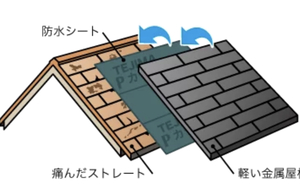 🌱ワイヤープランツ